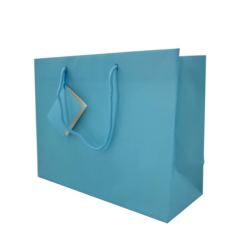 Lipack Custom Boutique Paper Shopping Bag con logotipo impreso para tarjetas de felicitación