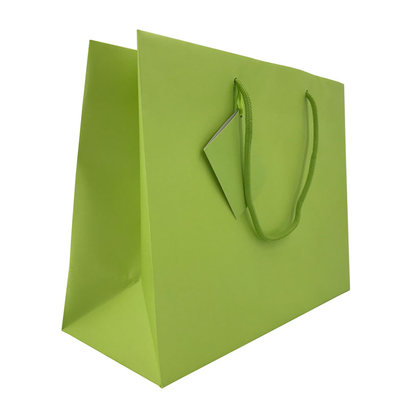 Lipack Custom Boutique Paper Shopping Bag con logotipo impreso para tarjetas de felicitación